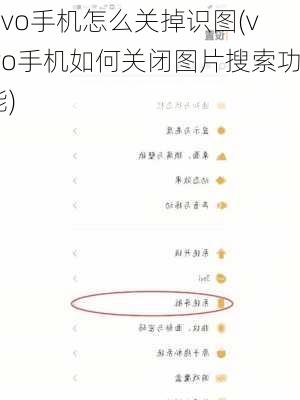 vivo手机怎么关掉识图(vivo手机如何关闭图片搜索功能)
