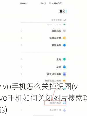 vivo手机怎么关掉识图(vivo手机如何关闭图片搜索功能)