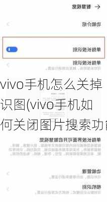 vivo手机怎么关掉识图(vivo手机如何关闭图片搜索功能)