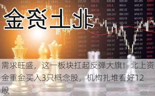 需求旺盛，这一板块扛起反弹大旗！北上资金重金买入3只概念股，机构扎堆看好12股