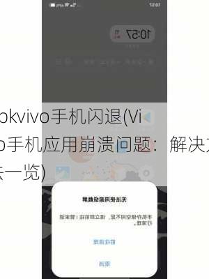 apkvivo手机闪退(Vivo手机应用崩溃问题：解决方法一览)