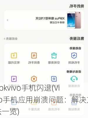 apkvivo手机闪退(Vivo手机应用崩溃问题：解决方法一览)