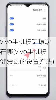 vivo手机按键振动在哪(vivo手机按键震动的设置方法)