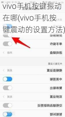 vivo手机按键振动在哪(vivo手机按键震动的设置方法)