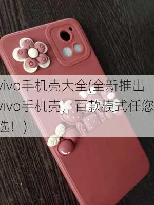 vivo手机壳大全(全新推出vivo手机壳，百款模式任您选！)