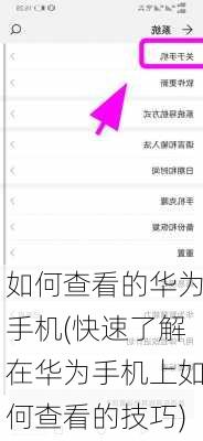 如何查看的华为手机(快速了解在华为手机上如何查看的技巧)
