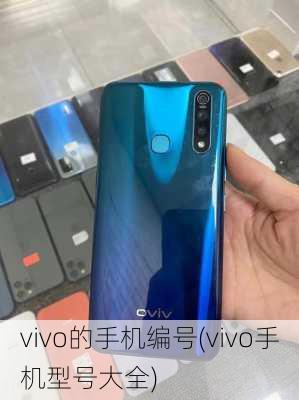 vivo的手机编号(vivo手机型号大全)