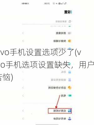 vivo手机设置选项少了(vivo手机选项设置缺失，用户苦恼)