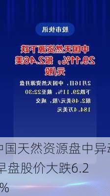 中国天然资源盘中异动 早盘股价大跌6.21%