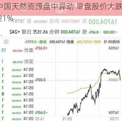 中国天然资源盘中异动 早盘股价大跌6.21%