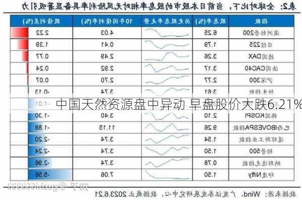 中国天然资源盘中异动 早盘股价大跌6.21%