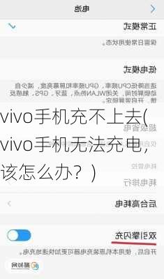 vivo手机充不上去(vivo手机无法充电，该怎么办？)