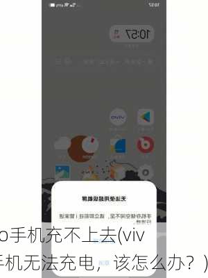 vivo手机充不上去(vivo手机无法充电，该怎么办？)