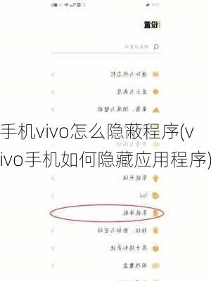 手机vivo怎么隐蔽程序(vivo手机如何隐藏应用程序)