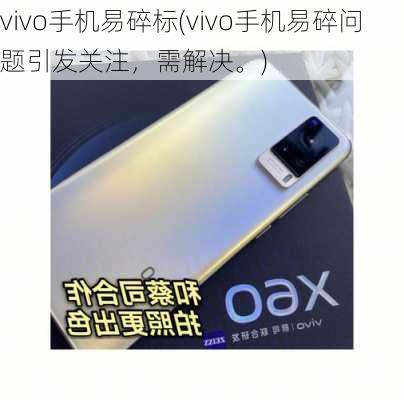 vivo手机易碎标(vivo手机易碎问题引发关注，需解决。)