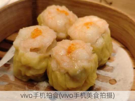 vivo手机拍食(vivo手机美食拍摄)