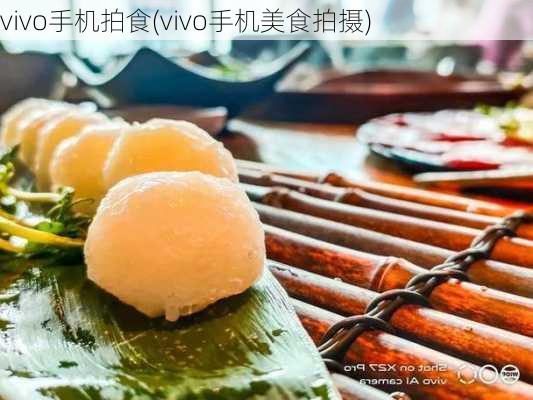 vivo手机拍食(vivo手机美食拍摄)