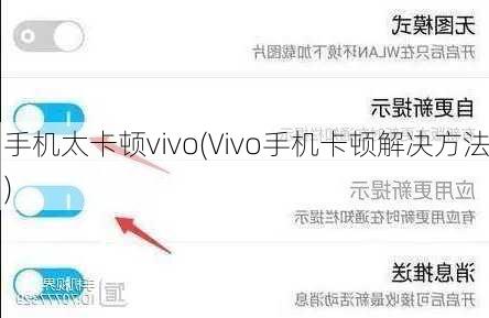 手机太卡顿vivo(Vivo手机卡顿解决方法)