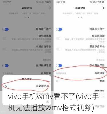 vivo手机wmv看不了(vivo手机无法播放wmv格式视频)