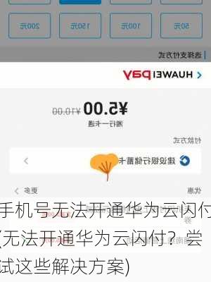 手机号无法开通华为云闪付(无法开通华为云闪付？尝试这些解决方案)