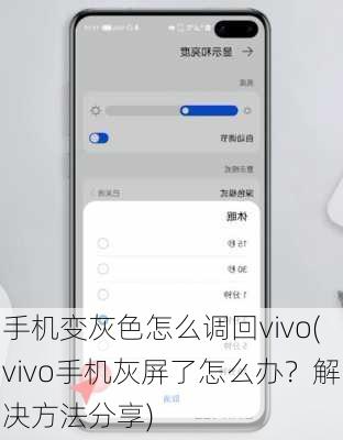 手机变灰色怎么调回vivo(vivo手机灰屏了怎么办？解决方法分享)