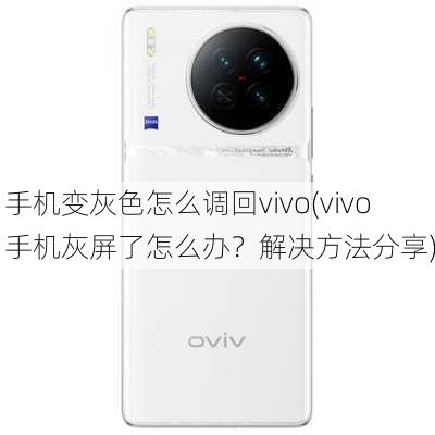 手机变灰色怎么调回vivo(vivo手机灰屏了怎么办？解决方法分享)