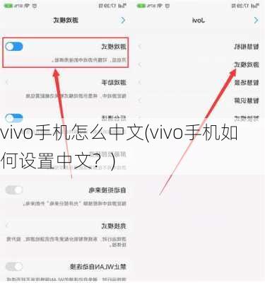 vivo手机怎么中文(vivo手机如何设置中文？)