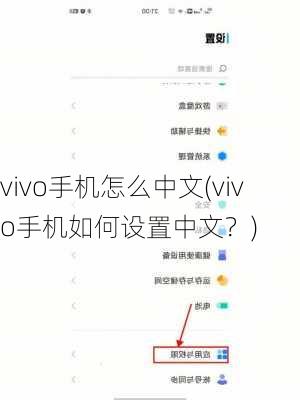 vivo手机怎么中文(vivo手机如何设置中文？)