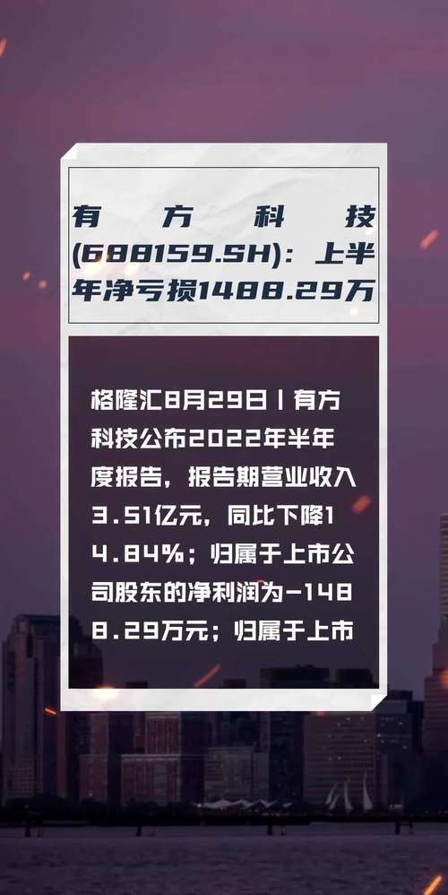 有方科技(688159.SH)：2023年净利润455.36万元