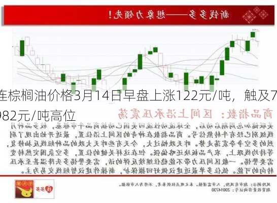 连棕榈油价格3月14日早盘上涨122元/吨，触及7982元/吨高位