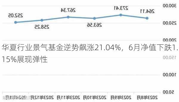 华夏行业景气基金逆势飙涨21.04%，6月净值下跌1.15%展现弹性