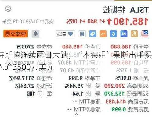 特斯拉连续两日大跌，“木头姐”果断出手买入逾3500万美元