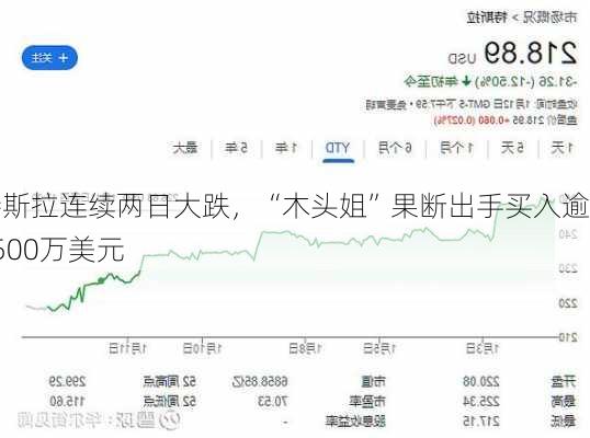 特斯拉连续两日大跌，“木头姐”果断出手买入逾3500万美元