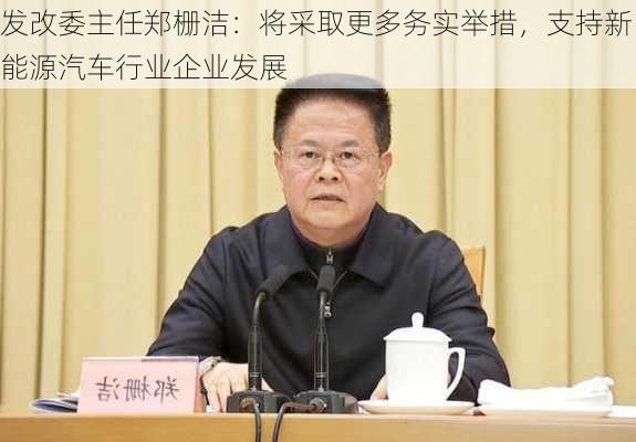 发改委主任郑栅洁：将采取更多务实举措，支持新能源汽车行业企业发展