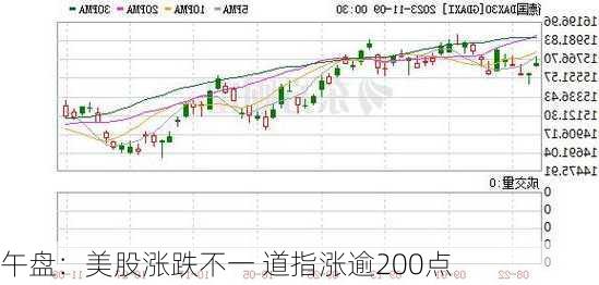 午盘：美股涨跌不一 道指涨逾200点