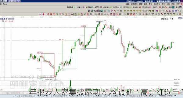 年报步入密集披露期 机构调研“高分红选手”