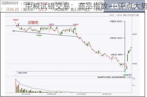 中粮试错交易：商品指数――评点大势