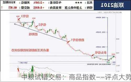 中粮试错交易：商品指数――评点大势