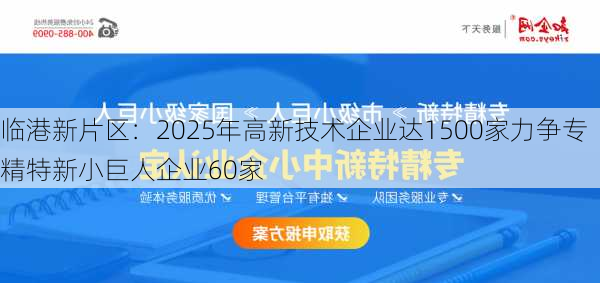 临港新片区：2025年高新技术企业达1500家力争专精特新小巨人企业60家