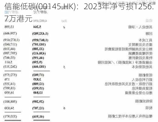 信能低碳(00145.HK)：2023年净亏损1256.7万港元