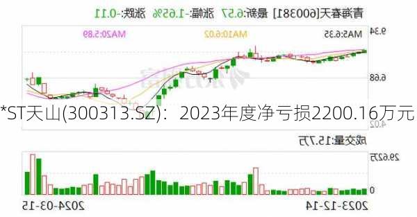 *ST天山(300313.SZ)：2023年度净亏损2200.16万元