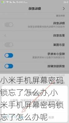 小米手机屏幕密码锁忘了怎么办,小米手机屏幕密码锁忘了怎么办呢