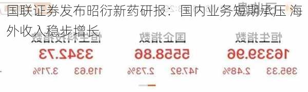 国联证券发布昭衍新药研报：国内业务短期承压 海外收入稳步增长