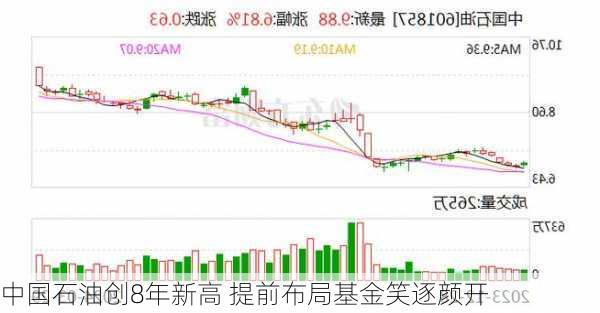 中国石油创8年新高 提前布局基金笑逐颜开