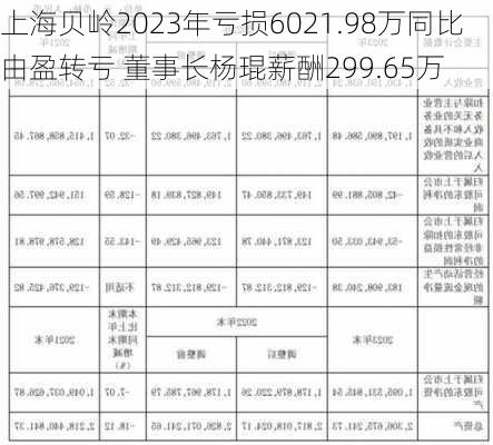 上海贝岭2023年亏损6021.98万同比由盈转亏 董事长杨琨薪酬299.65万