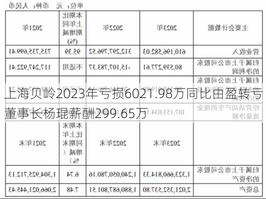 上海贝岭2023年亏损6021.98万同比由盈转亏 董事长杨琨薪酬299.65万