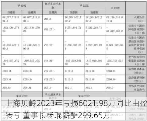 上海贝岭2023年亏损6021.98万同比由盈转亏 董事长杨琨薪酬299.65万