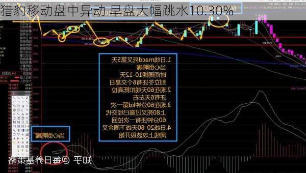 猎豹移动盘中异动 早盘大幅跳水10.30%