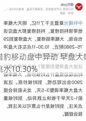 猎豹移动盘中异动 早盘大幅跳水10.30%