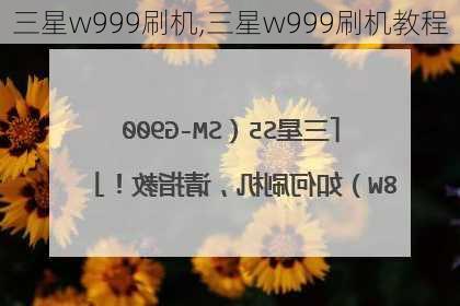 三星w999刷机,三星w999刷机教程